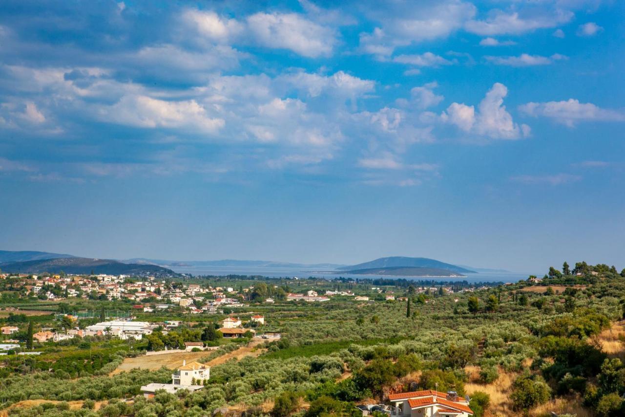 Aeolus Luxury Apartment - I Nafplio Exterior foto